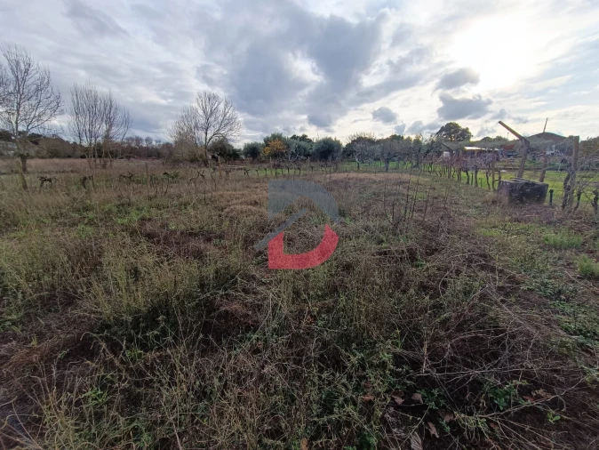 Terreno para Venda em Escalos de Cima e Lousa Foto 25