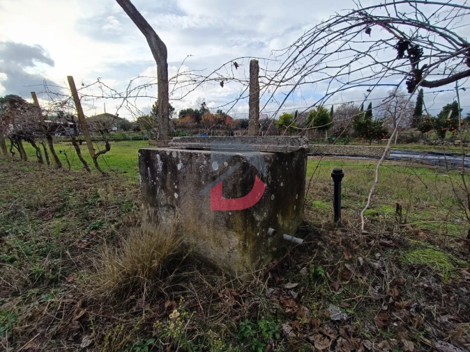 Terreno para Venda em Escalos de Cima e Lousa Foto 23