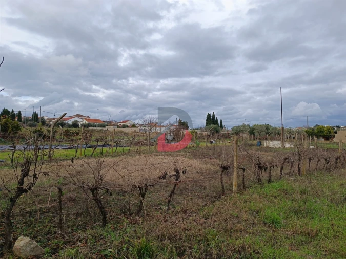 Terreno para Venda em Escalos de Cima e Lousa Foto 12