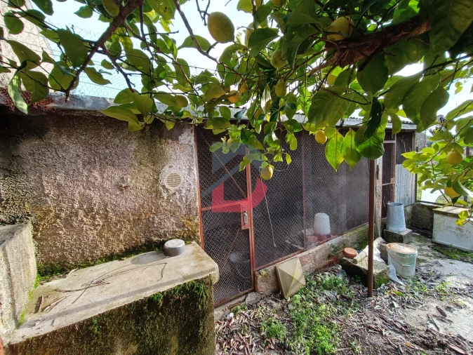 Terreno para Venda em Escalos de Cima e Lousa Foto 5
