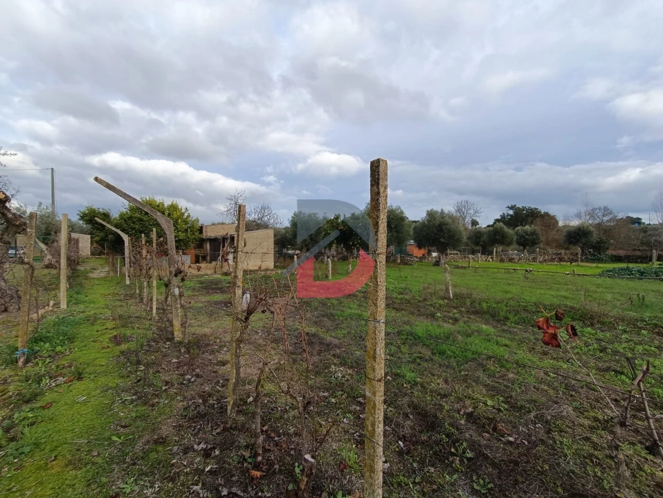 Terreno para Venda em Escalos de Cima e Lousa Foto 30