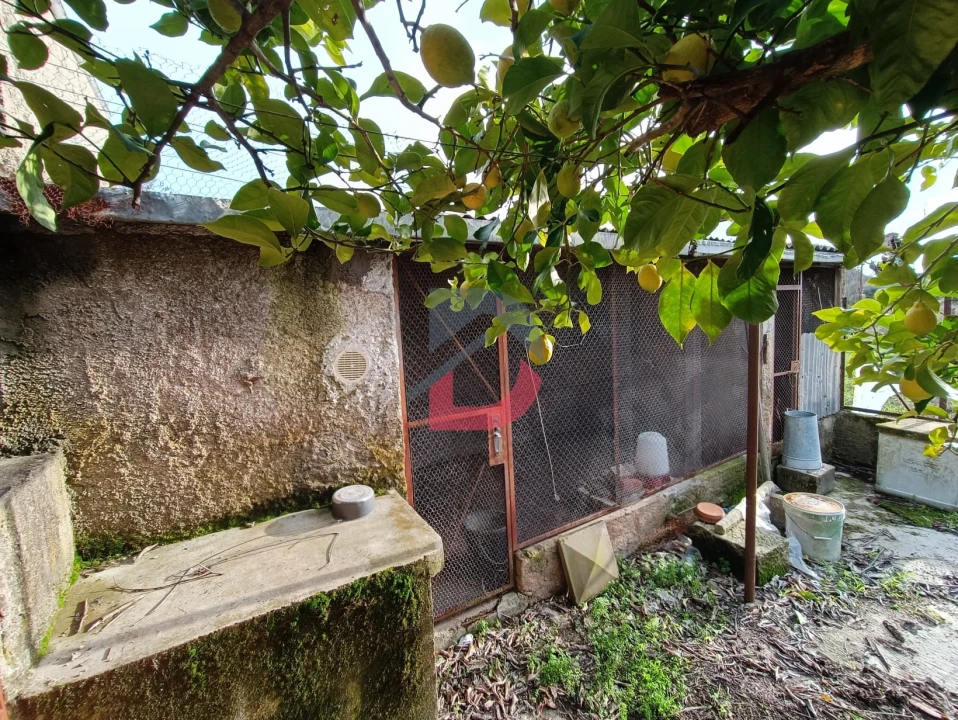 Terreno para Venda em Escalos de Cima e Lousa Foto 5