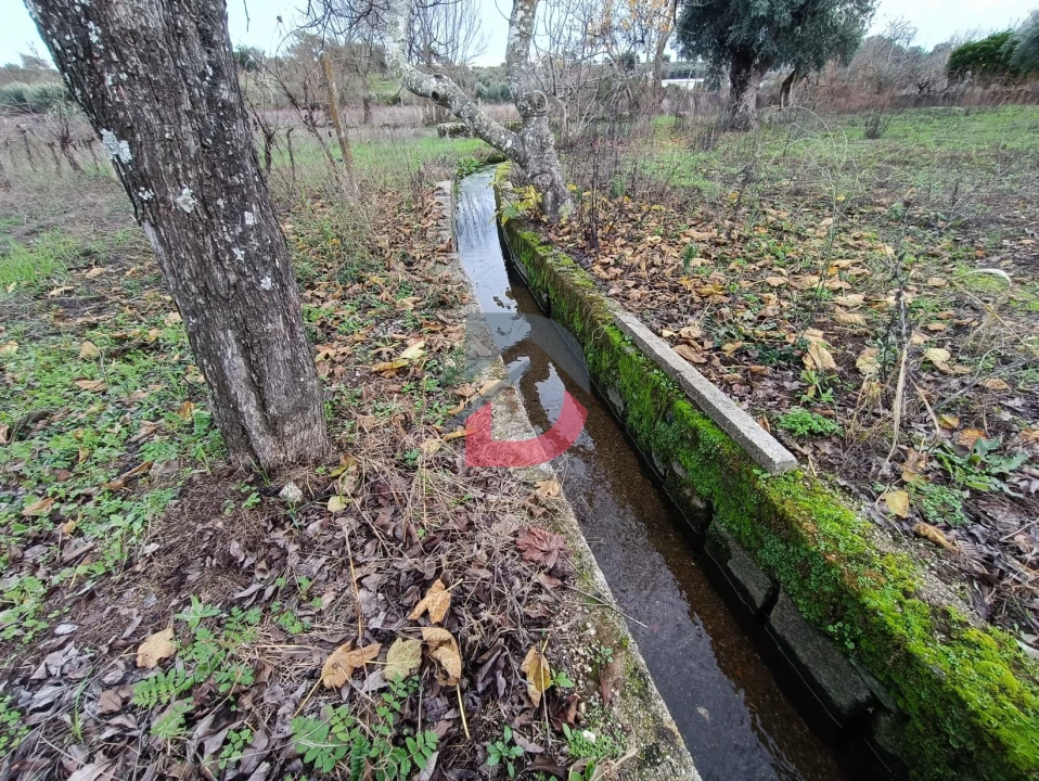 Terreno para Venda em Escalos de Cima e Lousa Foto 19