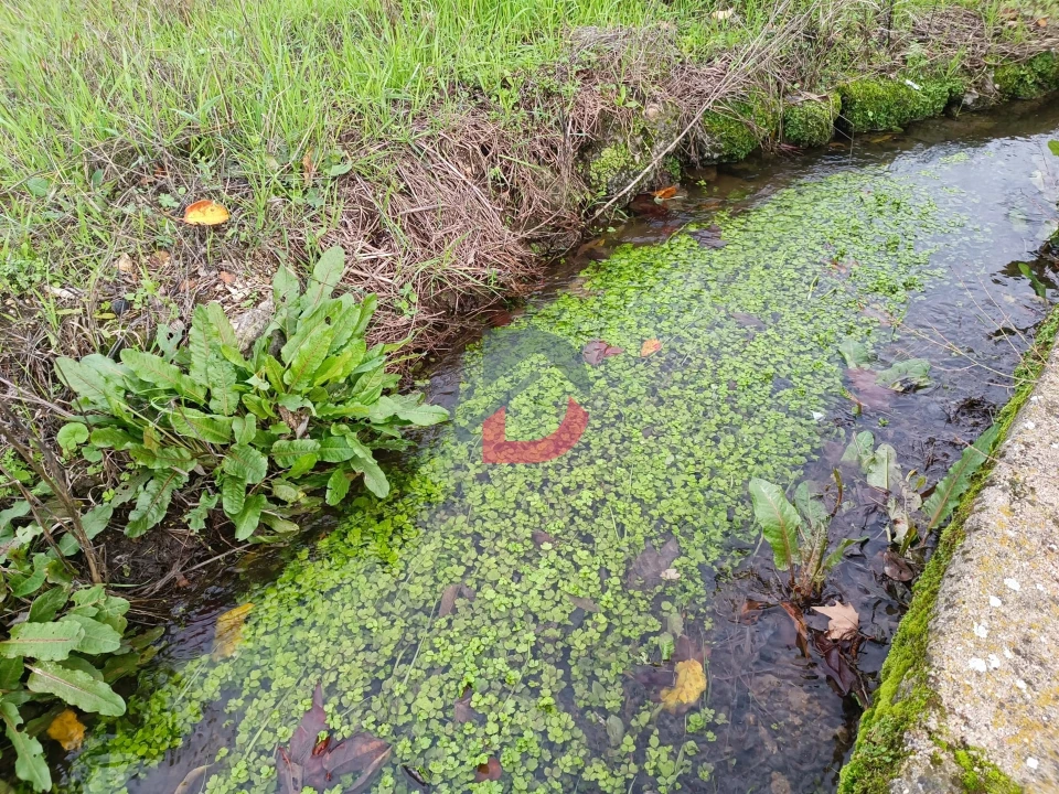 Terreno para Venda em Escalos de Cima e Lousa Foto 22
