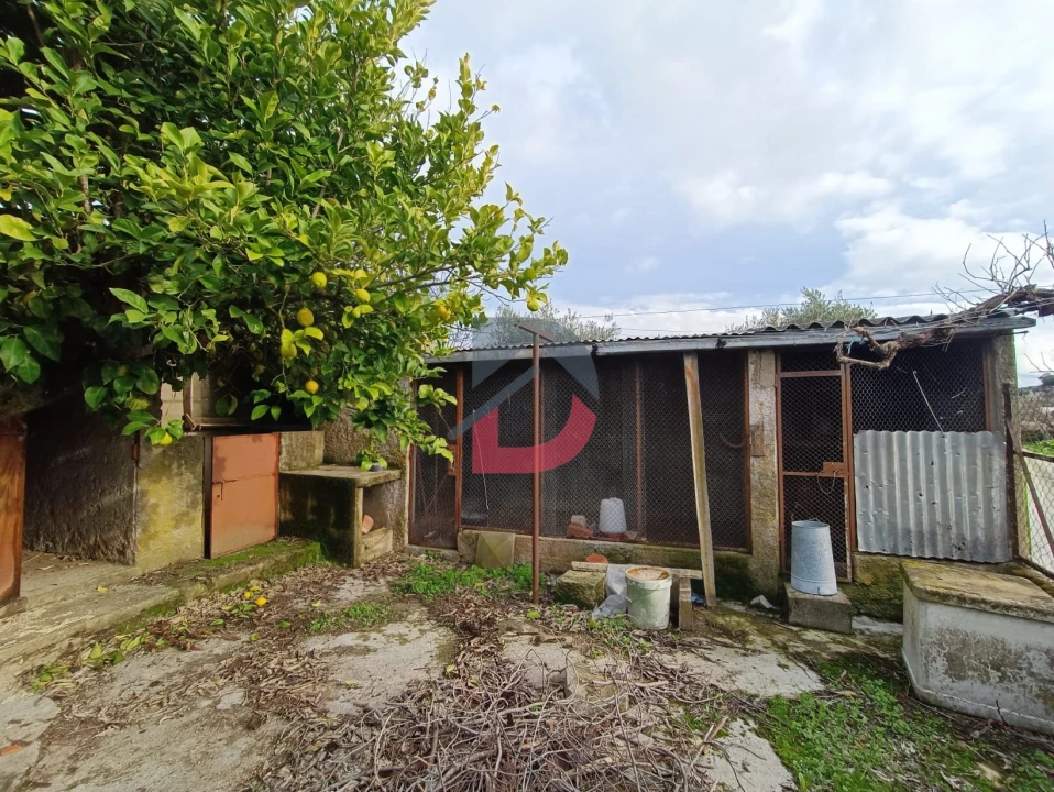 Terreno para Venda em Escalos de Cima e Lousa Foto 7