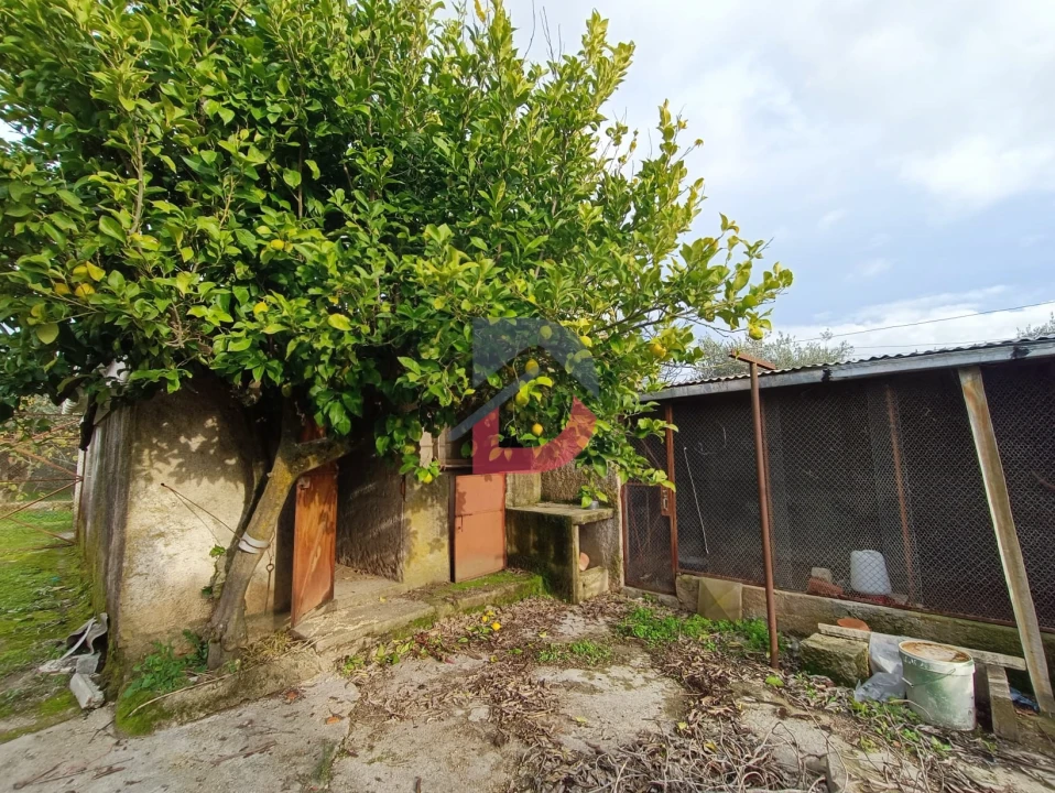 Terreno para Venda em Escalos de Cima e Lousa Foto 9