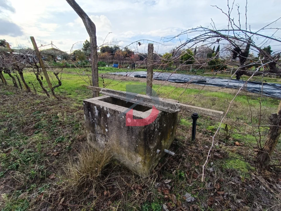 Terreno para Venda em Escalos de Cima e Lousa Foto 21