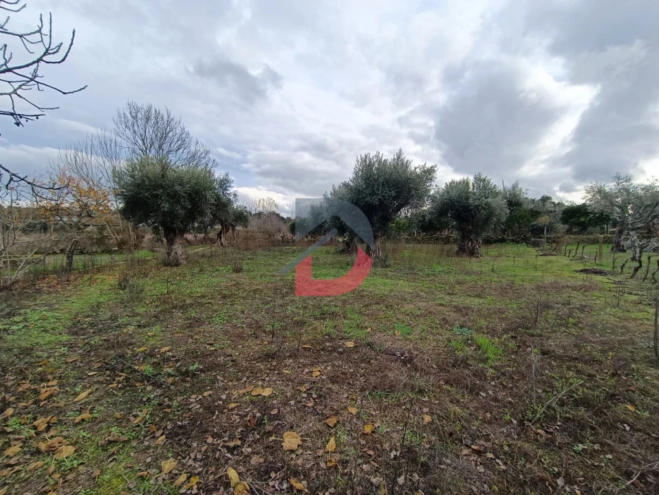 Terreno para Venda em Escalos de Cima e Lousa Foto 18