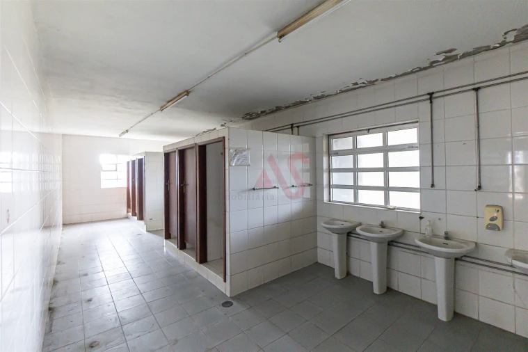 Armazém para Venda em Regilde Foto 8