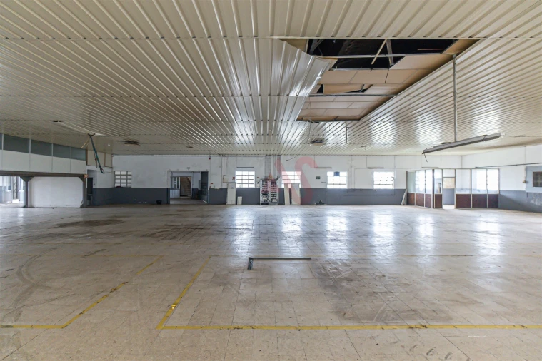 Armazém para Venda em Regilde Foto 2