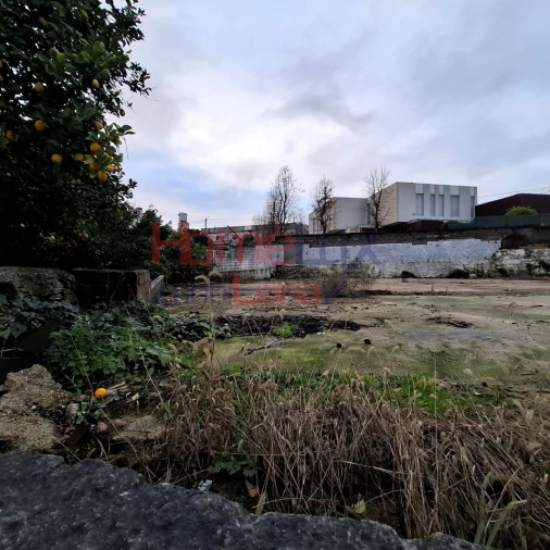 Terreno Agricola ou Rústico para Venda em Vilela Foto 22