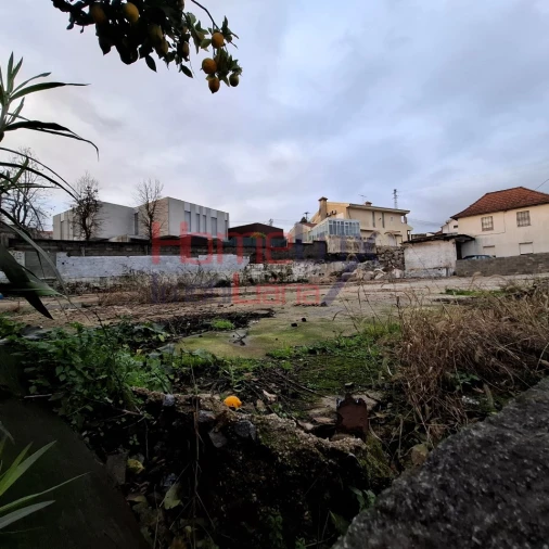 Terreno Agricola ou Rústico para Venda em Vilela Foto 23