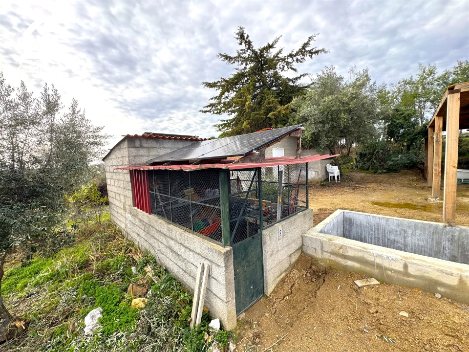 Quinta T1 para Venda em Escalos de Cima e Lousa Foto 46