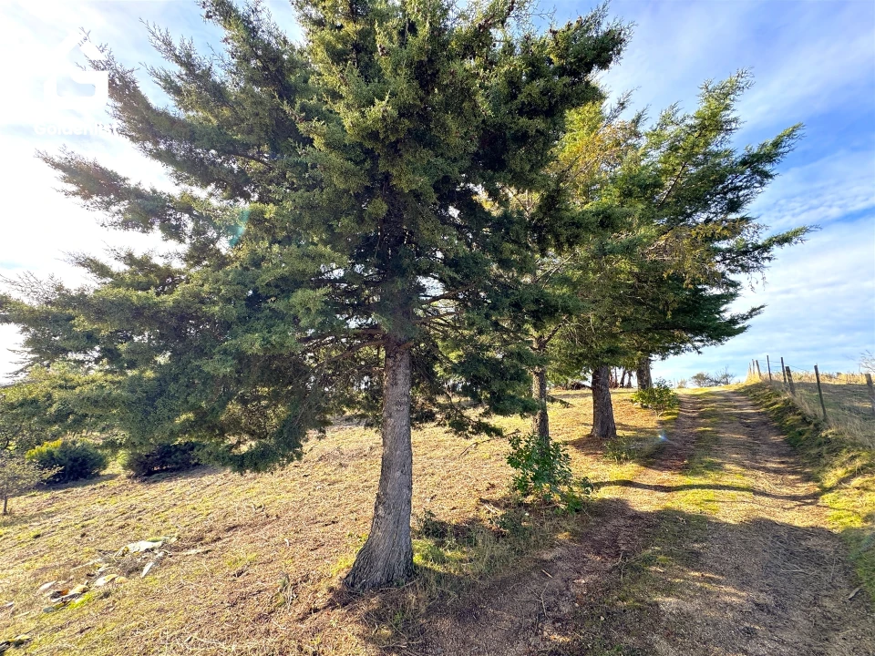 Quinta T1 para Venda em Escalos de Cima e Lousa Foto 13