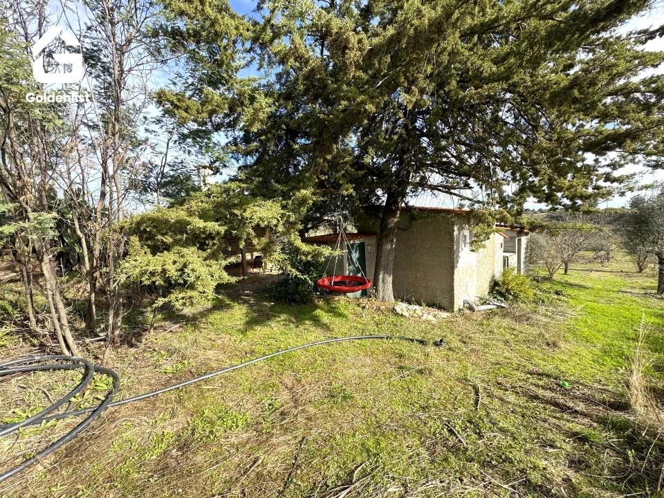 Quinta T1 para Venda em Escalos de Cima e Lousa Foto 50
