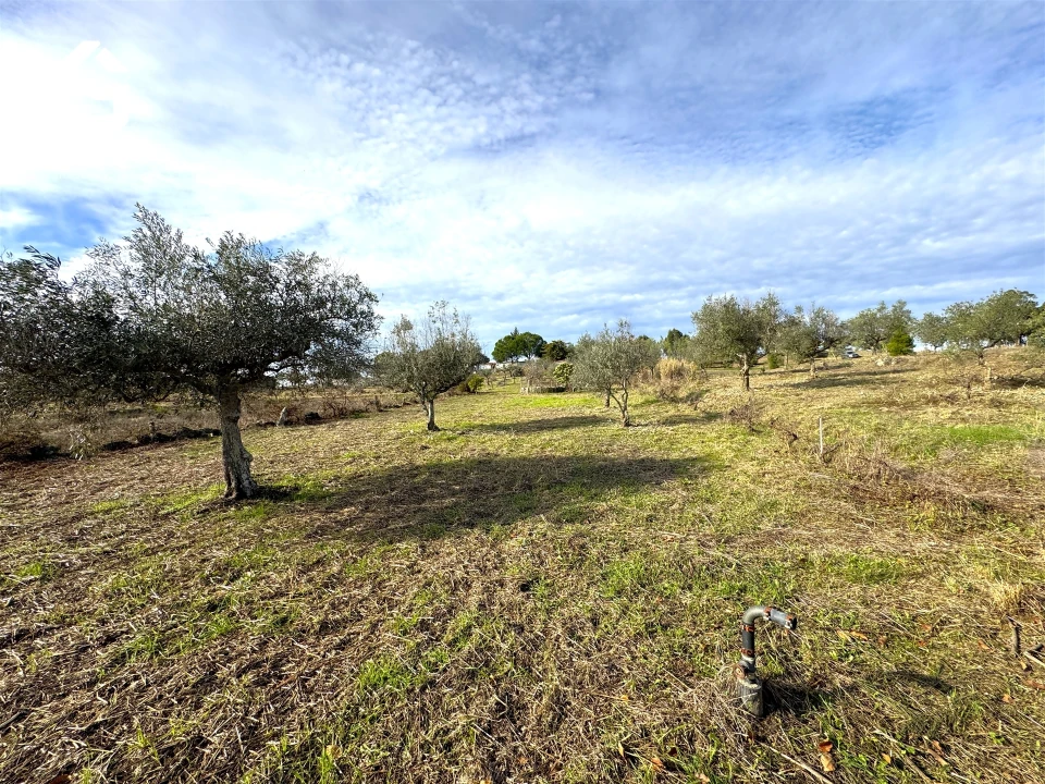 Quinta T1 para Venda em Escalos de Cima e Lousa Foto 25