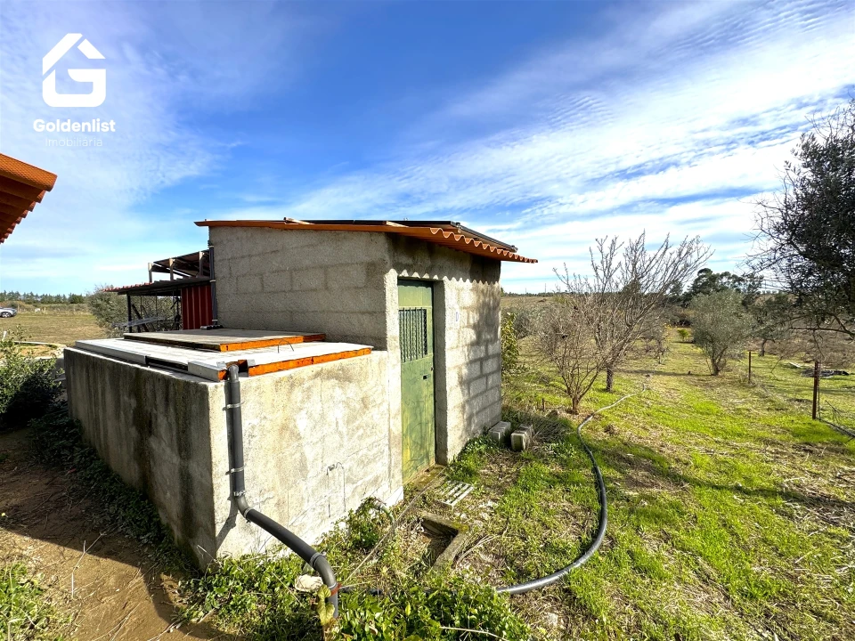Quinta T1 para Venda em Escalos de Cima e Lousa Foto 48