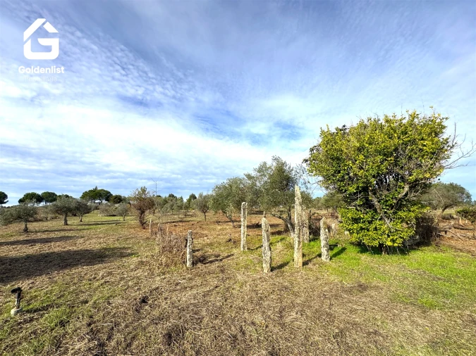 Quinta T1 para Venda em Escalos de Cima e Lousa Foto 21