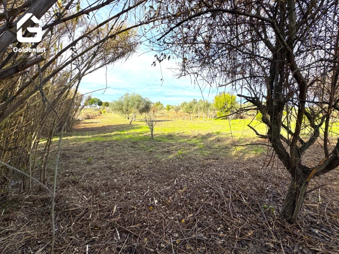 Quinta T1 para Venda em Escalos de Cima e Lousa Foto 19