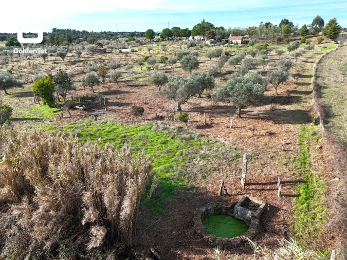 Quinta T1 para Venda em Escalos de Cima e Lousa Foto 6
