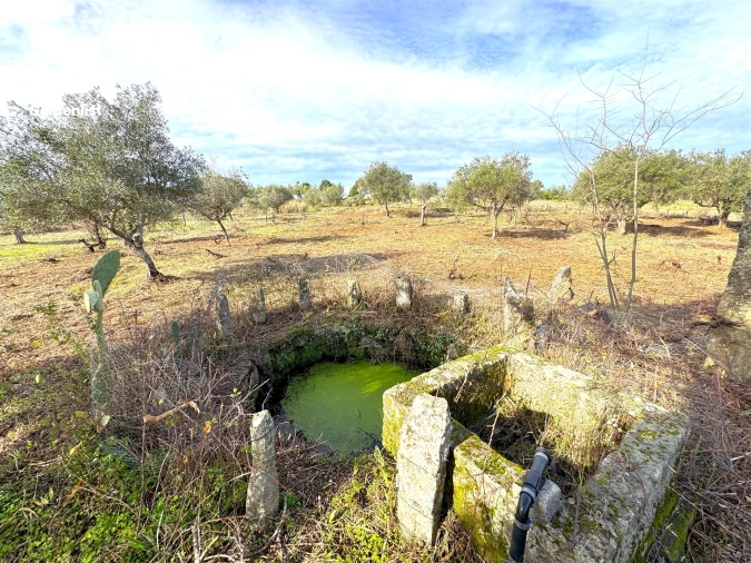Quinta T1 para Venda em Escalos de Cima e Lousa Foto 24