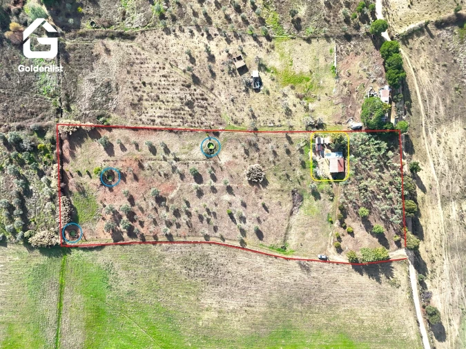 Quinta T1 para Venda em Escalos de Cima e Lousa Foto 9