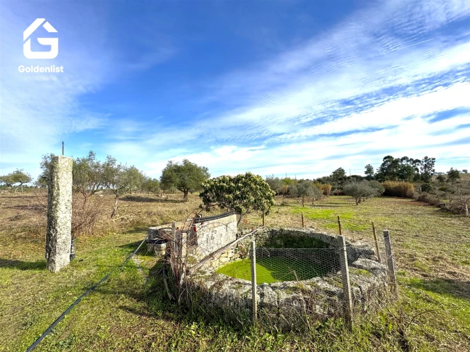 Quinta T1 para Venda em Escalos de Cima e Lousa Foto 27