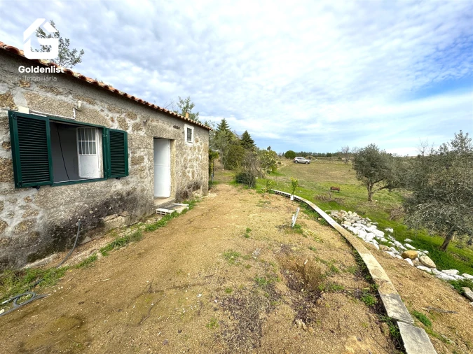 Quinta T1 para Venda em Escalos de Cima e Lousa Foto 29