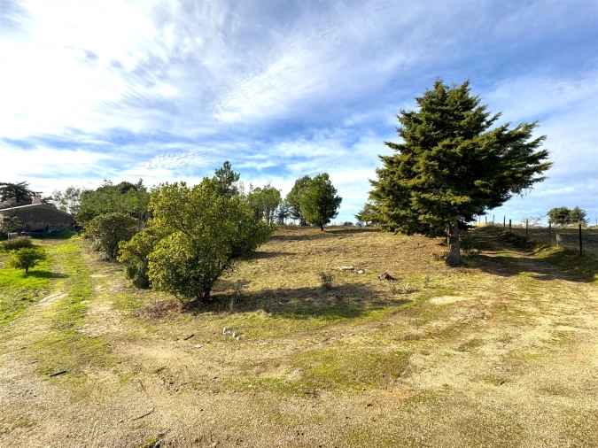 Quinta T1 para Venda em Escalos de Cima e Lousa Foto 14