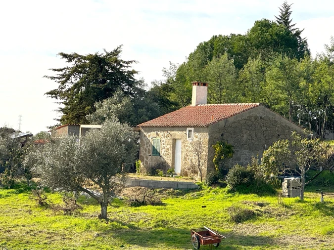 Quinta T1 para Venda em Escalos de Cima e Lousa Foto 15