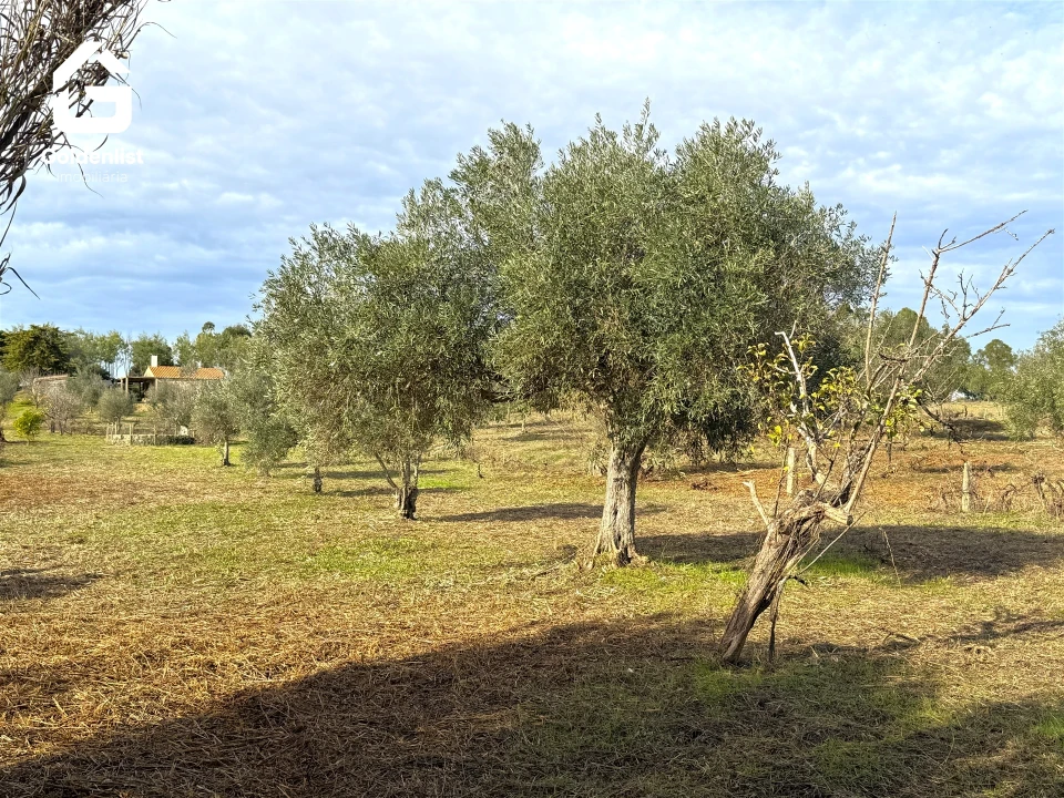 Quinta T1 para Venda em Escalos de Cima e Lousa Foto 20