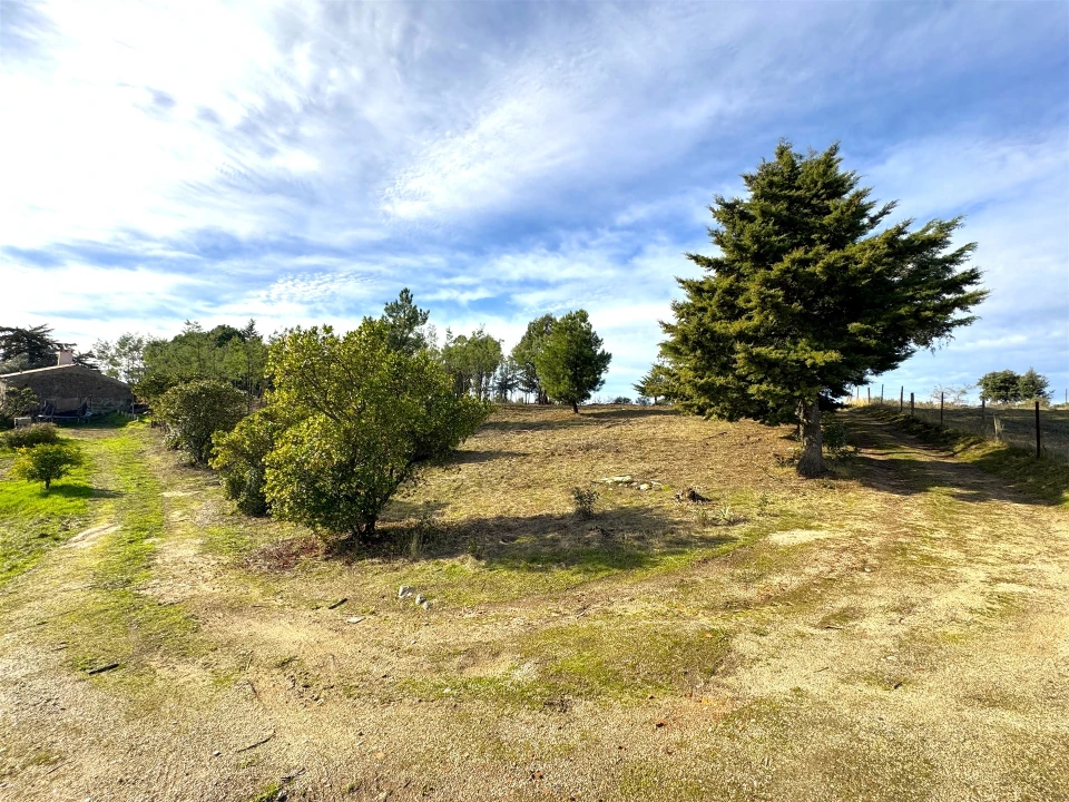 Quinta T1 para Venda em Escalos de Cima e Lousa Foto 14