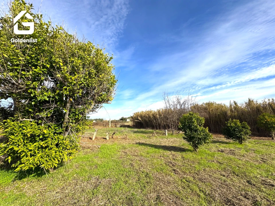 Quinta T1 para Venda em Escalos de Cima e Lousa Foto 22