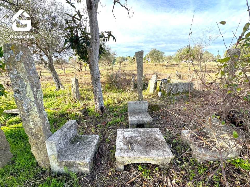 Quinta T1 para Venda em Escalos de Cima e Lousa Foto 23