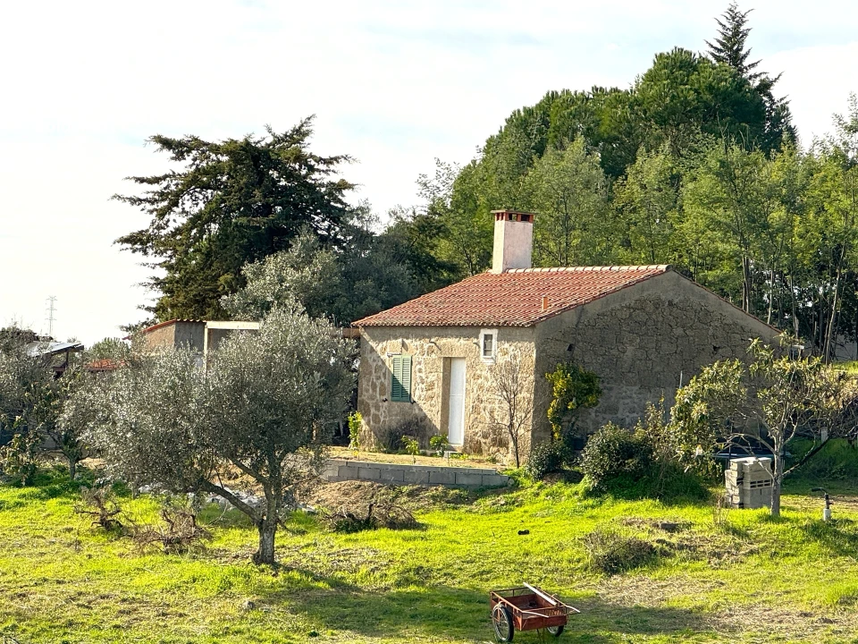 Quinta T1 para Venda em Escalos de Cima e Lousa Foto 15