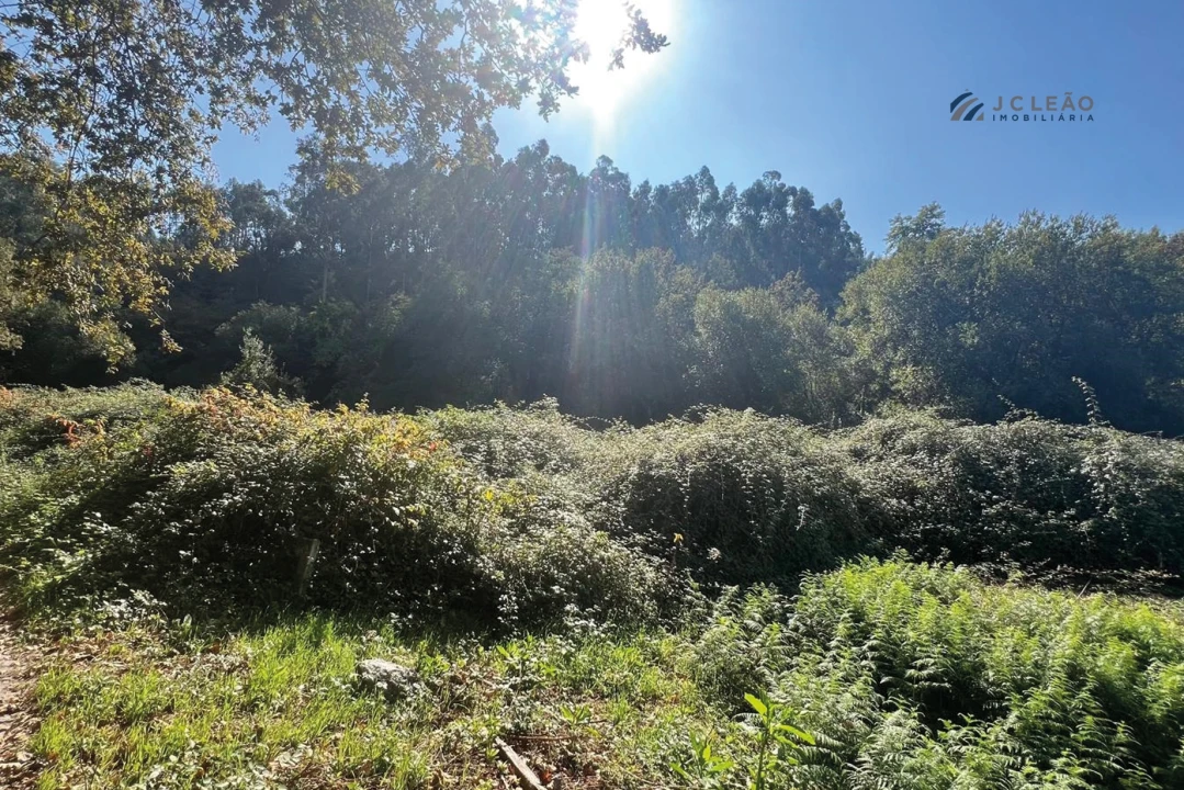 Terreno para Venda em Rebordosa Foto 9