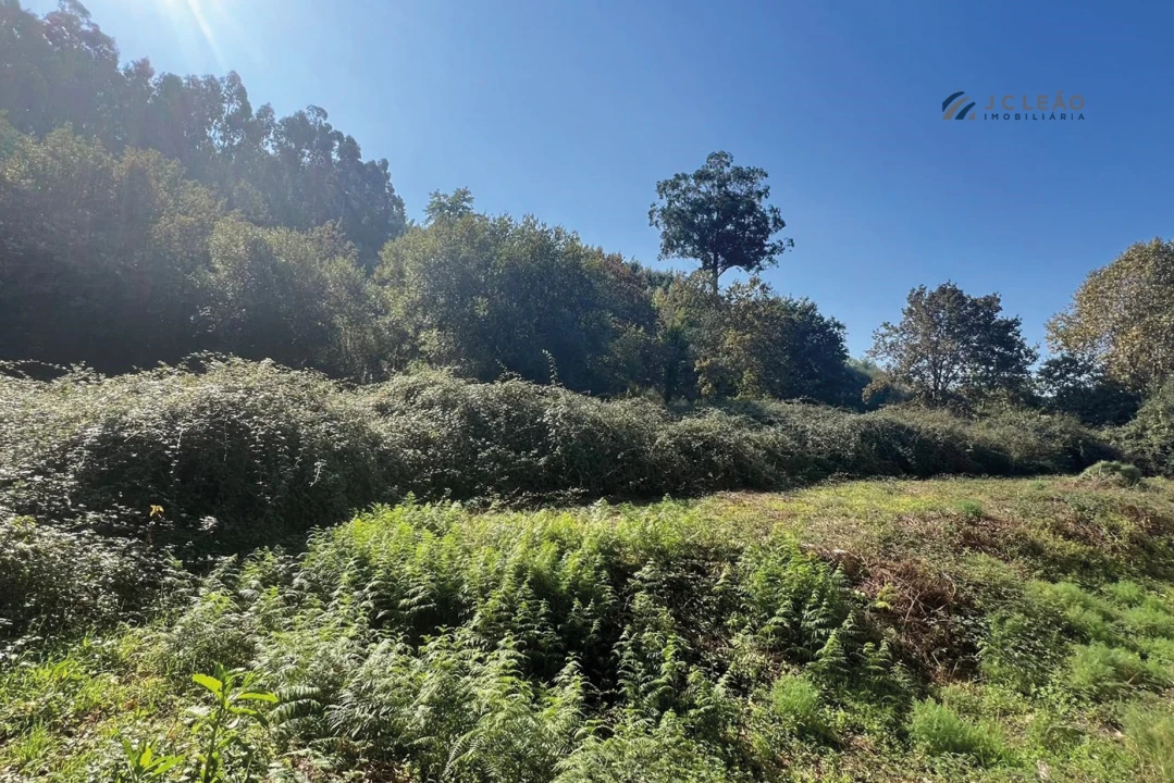 Terreno para Venda em Rebordosa Foto 4