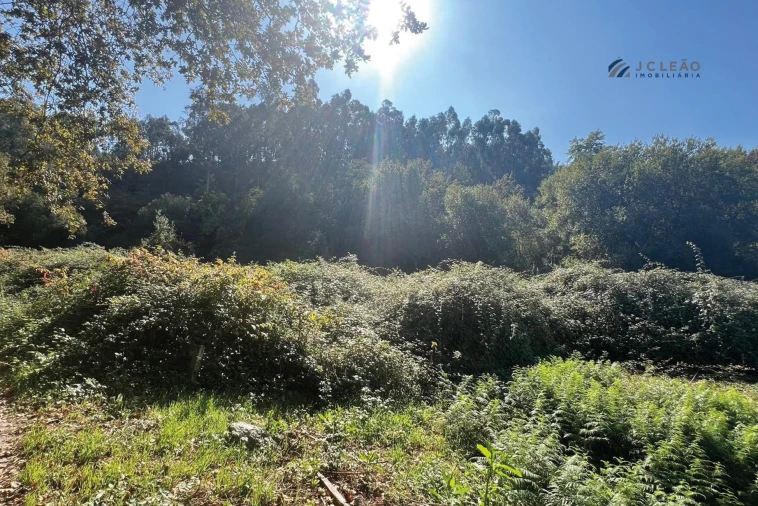 Terreno para Venda em Rebordosa Foto 9