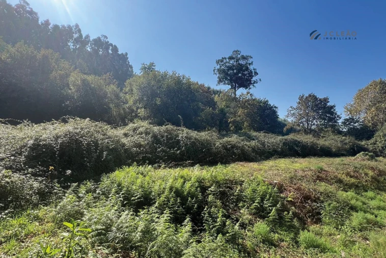 Terreno para Venda em Rebordosa Foto 4