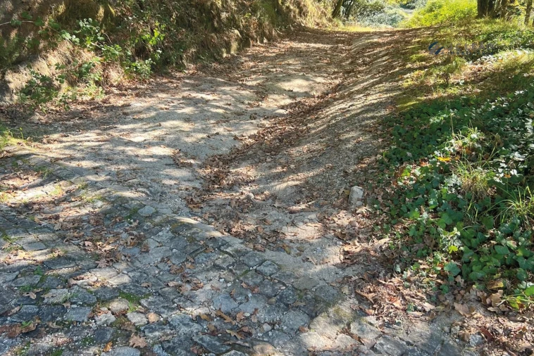 Terreno para Venda em Rebordosa Foto 13