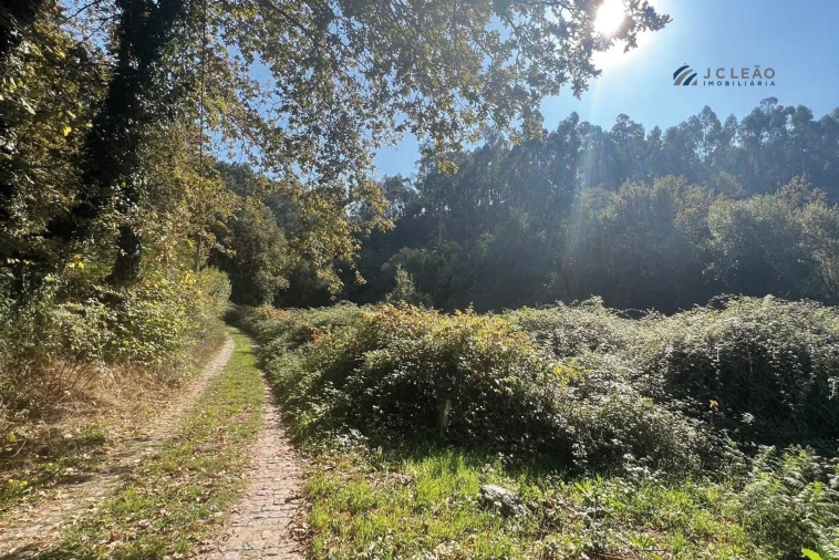 Terreno para Venda em Rebordosa Foto 2