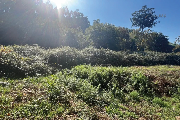 Terreno para Venda em Rebordosa Foto 8