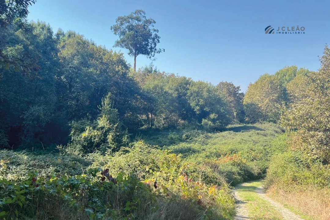 Terreno para Venda em Rebordosa Foto 5