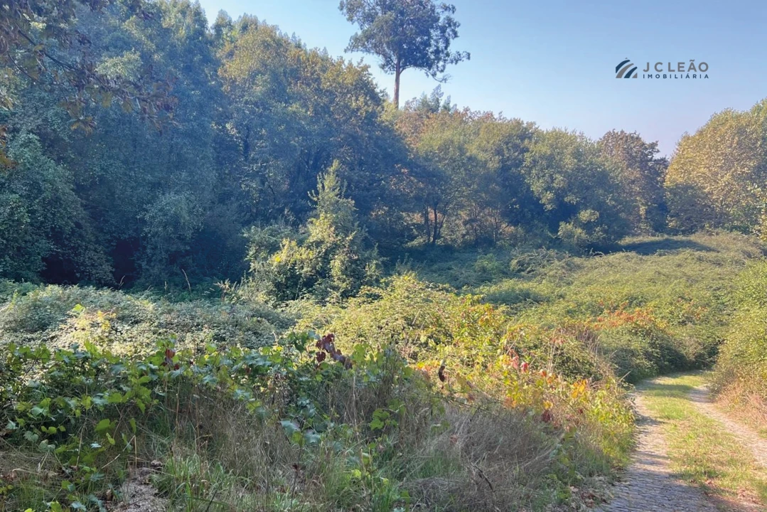 Terreno para Venda em Rebordosa Foto 12