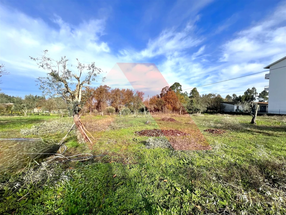 Moradia T3 para Venda em Covas e Vila Nova de Oliveirinha Foto 15