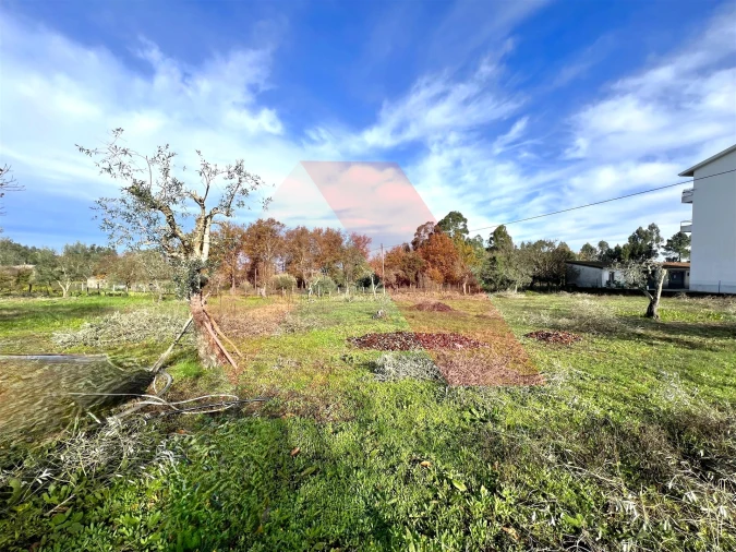 Moradia T3 para Venda em Covas e Vila Nova de Oliveirinha Foto 15