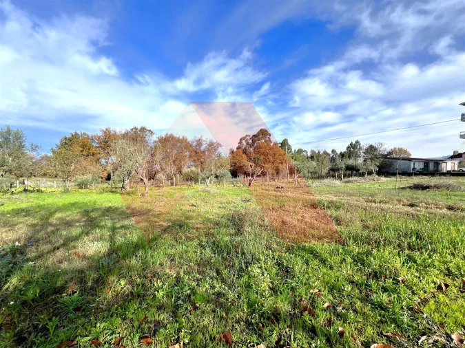 Moradia T3 para Venda em Covas e Vila Nova de Oliveirinha Foto 13