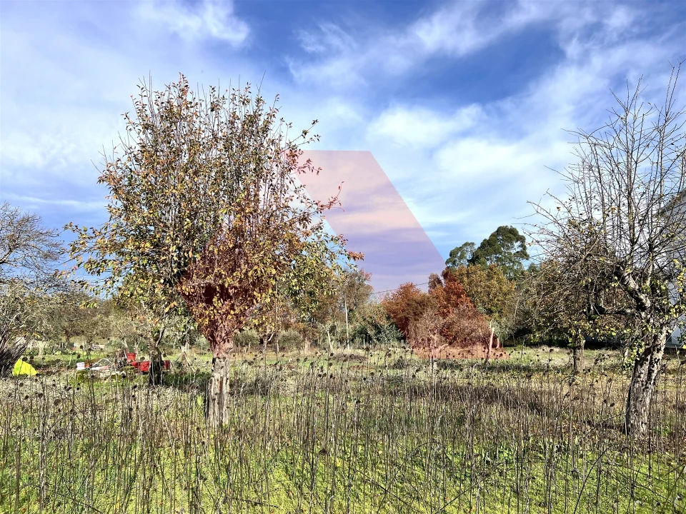 Moradia T3 para Venda em Covas e Vila Nova de Oliveirinha Foto 14