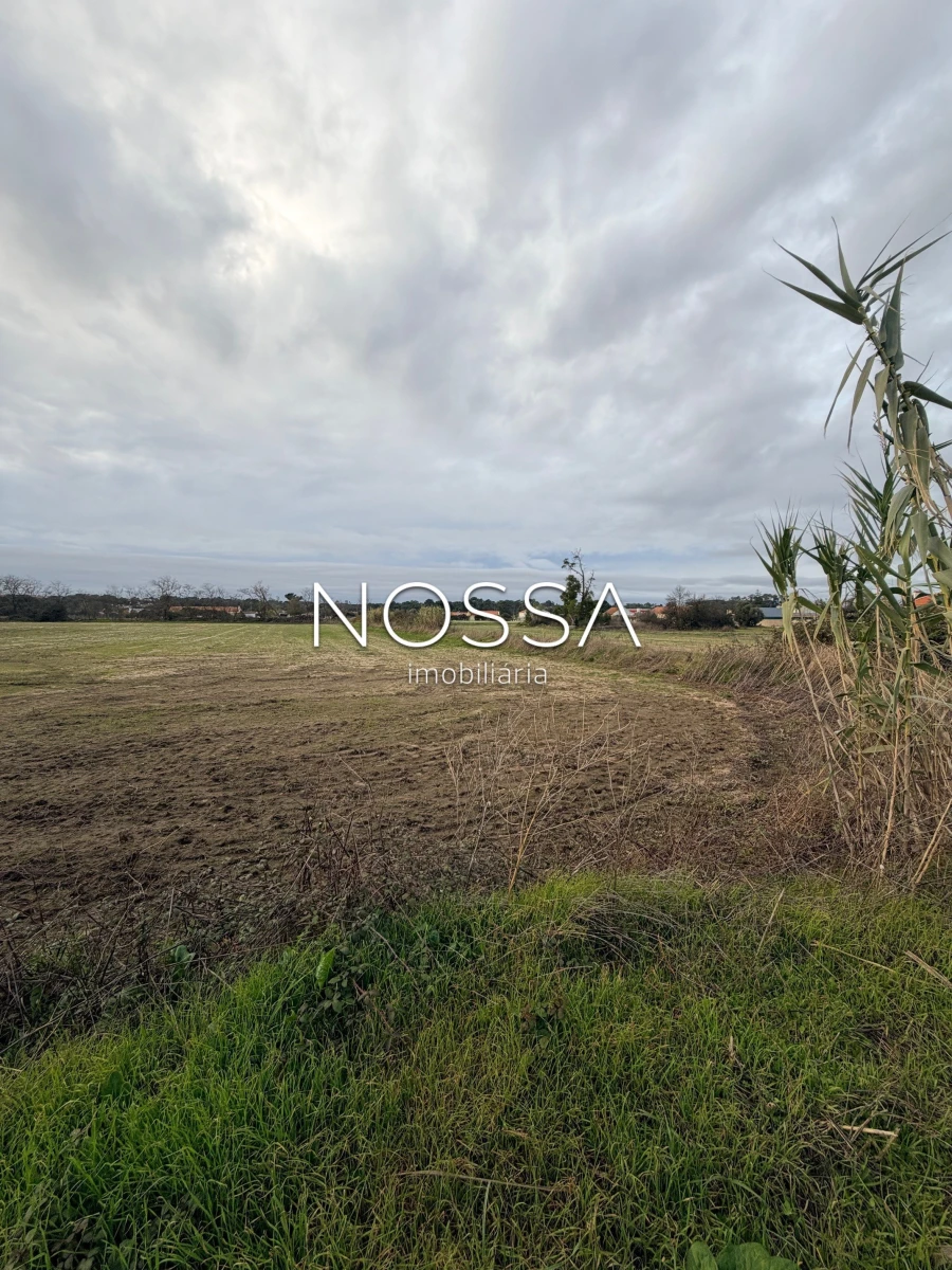 Terreno para Venda em Alhos Vedros Foto 13
