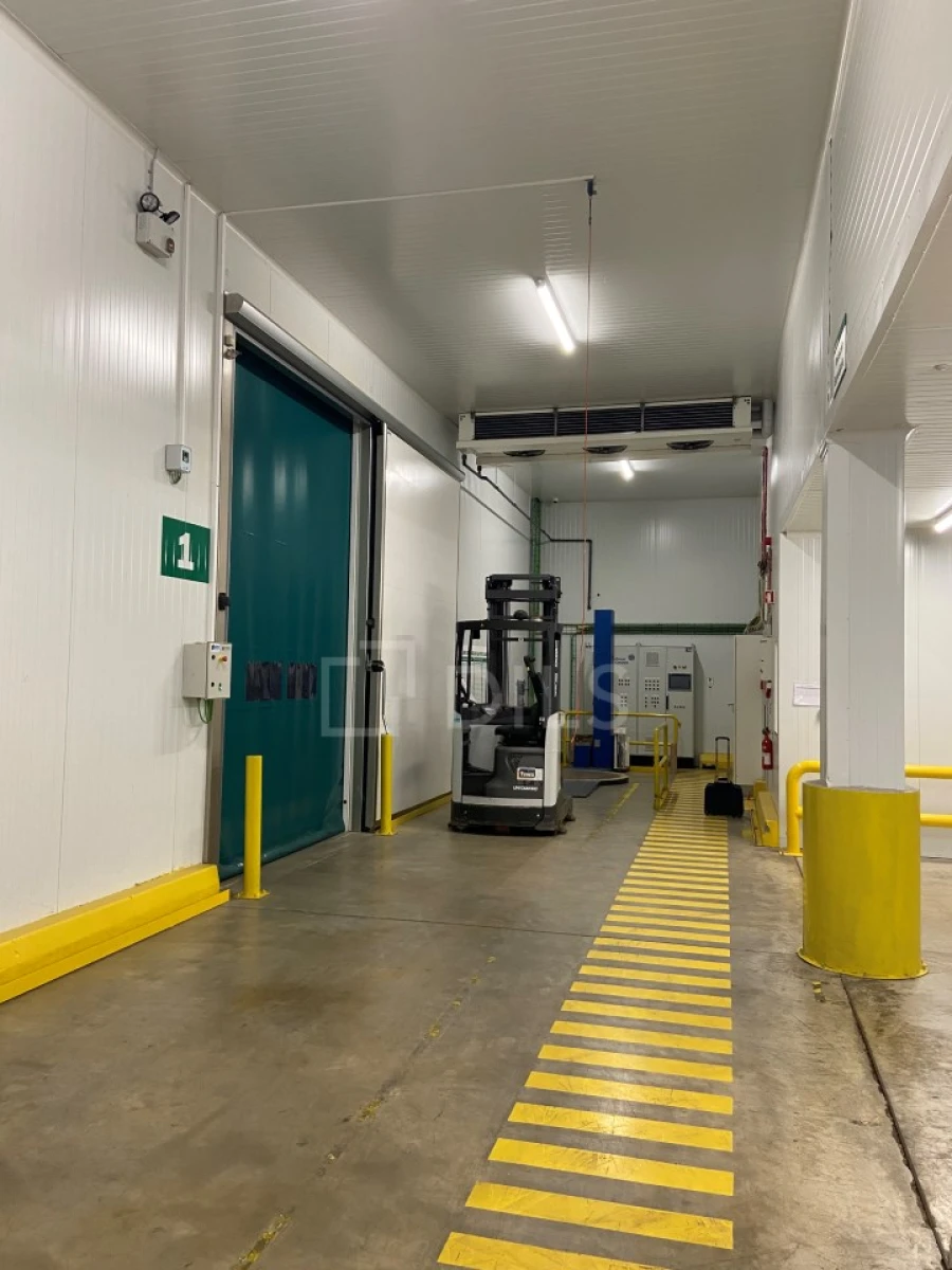 Armazém para Arrendamento em Azambuja Foto 8